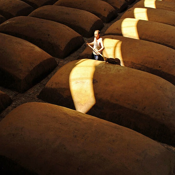 Shede Baijiu Spirit of China Rows of cellars